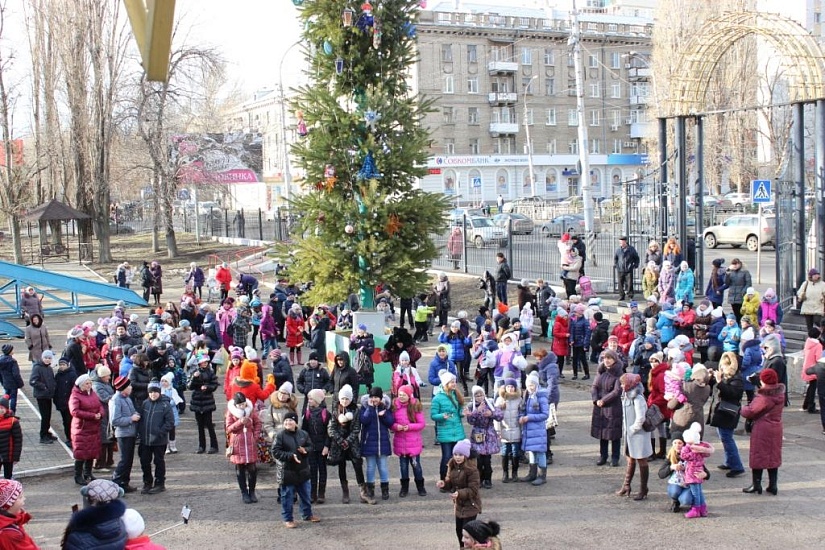 В Заводском районе «зажгли» огни на новогодних 
елках