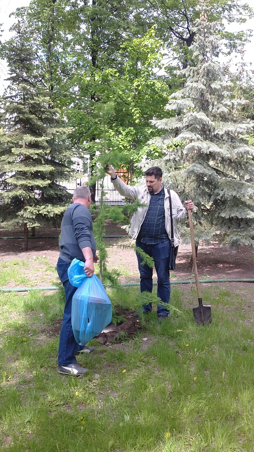 В городском саду «Липки» появились новые 
деревья
