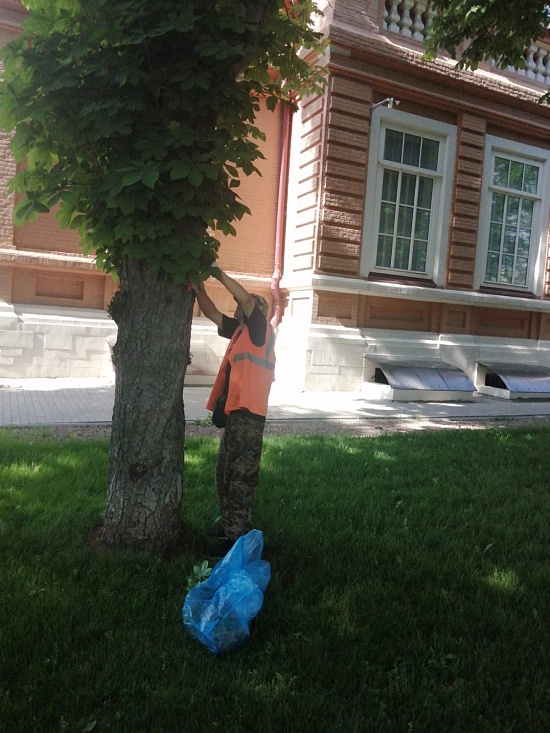 В Волжском районе продолжаются работы 
по благоустройству