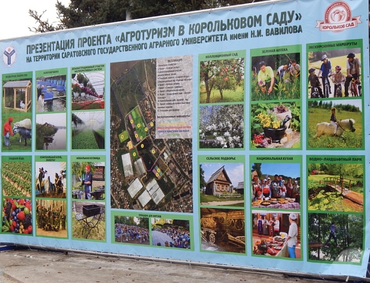 В Саратове будут развивать агротуризм