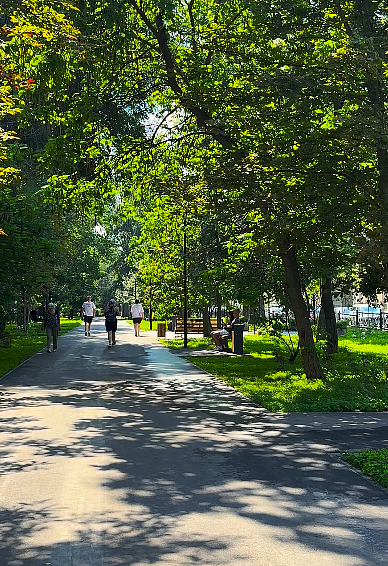 Как изменился бульвар на 2-й Садовой?