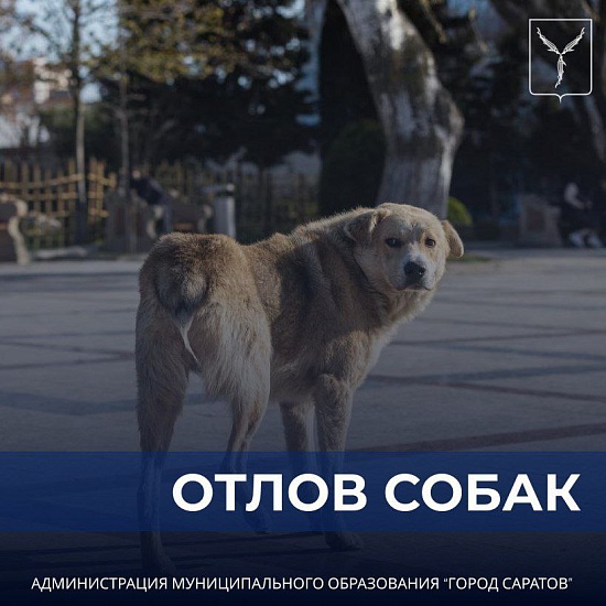 Вниманию жителей города!