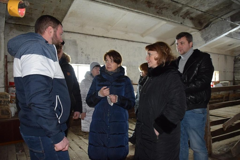 Депутаты Саратовской городской Думы посетили 
приют временного содержания животных в Новых Бурасах