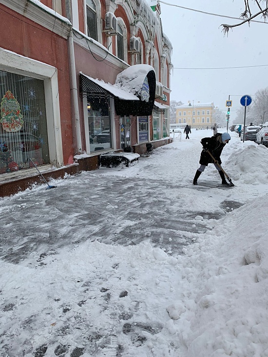 Владельцев 29 объектов недвижимости обязали 
очистить прилегающую территорию от снега