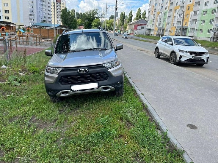 Комитетом муниципального контроля выявлено 
более 30 фактов размещения транспортных средств на территориях, занятых зелеными насаждениями